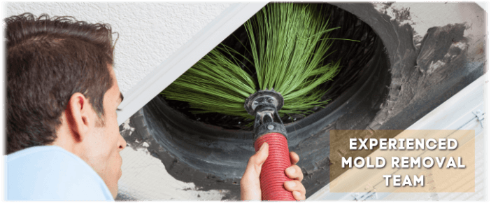 Air Duct Mold Removal in North Richland Hills